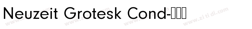 Neuzeit Grotesk Cond字体转换